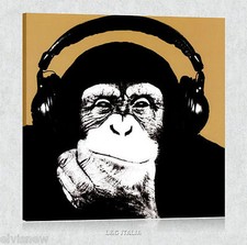 Monkey STEEZ QUADRO MODERNO