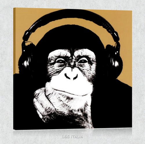 Monkey steez quadro moderno - monkey,