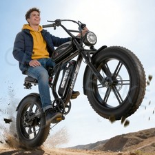 Bicicletta Elettrica 20''