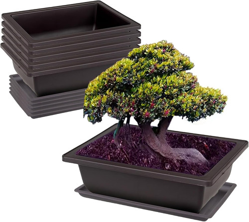 Bonsai ciotole rettangolari - 6,