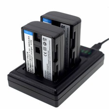 2 Batterie + Caricabatterie