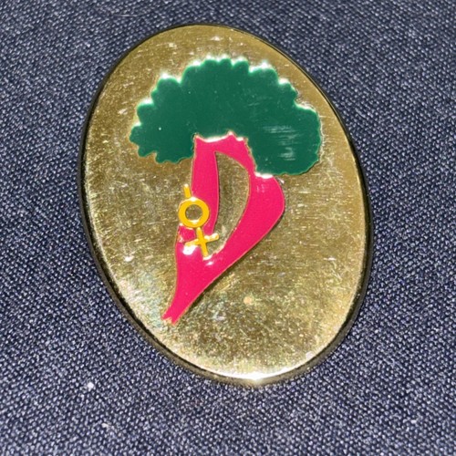 Distintivo pins spilla badge