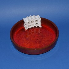 PARTICOLARE POSACENERE VINTAGE VASARO FAENZA CON ATTESTATO DI ORIGINE ITALIA