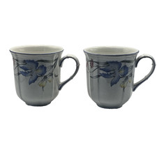 Set 2 tazze floreali Villeroy