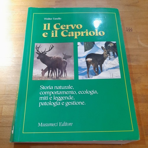 Cervo capriolo walter - il, capriolo,