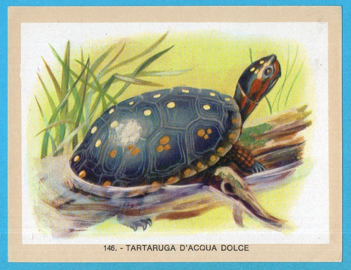 Naturama lampo 1968 - naturama-lampo, 1968-figurina