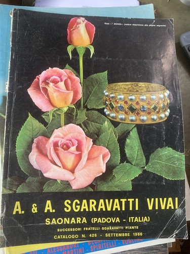 Sgaravatti vivai catalogo - vivai,