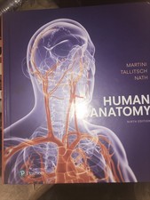 Human Anatomy by Martini