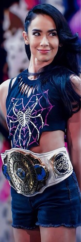 Banner vinile wwe gigante - banner,