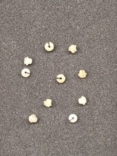 Rivarossi 3816  10 Isolatori per congiunzione della catenaria Scala H0