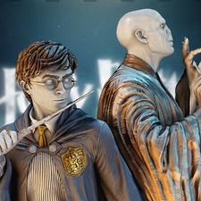 HARRY POTTER & VOLDEMORT