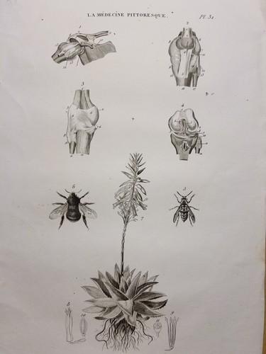 Acquaforte antica 1834