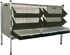 Gabbia Per Galline Ovaiole 2