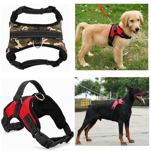 Guinzaglio per cani taglia