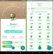 x50 Silicobra (Non Lucido) |