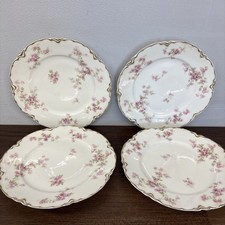 Haviland Limoges France Set di