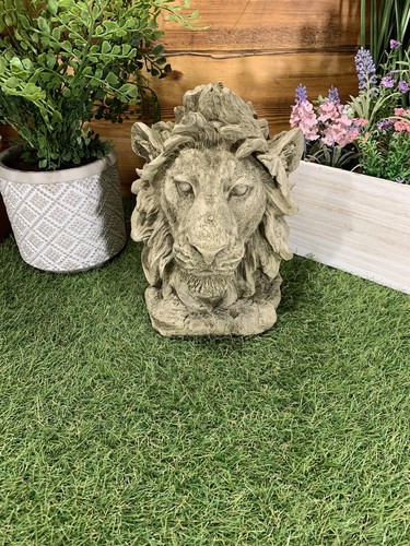 Ornamento regalo testa - ornamento,