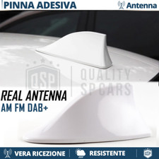 Antenna PINNA DI SQUALO BIANCA