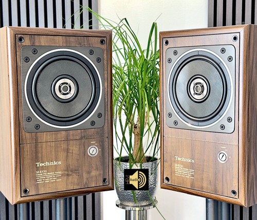 Technics esclusivo - 50,,