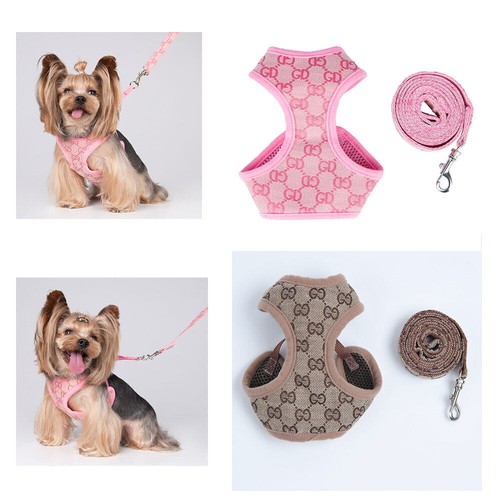Xxxs xxs small - xs, breeds