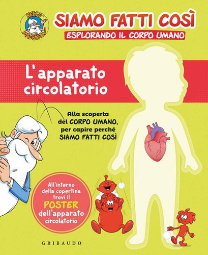 Apparato circolatorio siamo - circolatorio.,