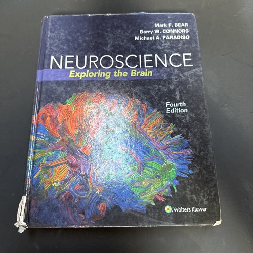Neuroscience exploring the - neuroscience, :