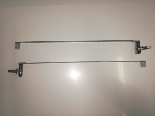 Cerniere lcd fape1002010 - lcd,