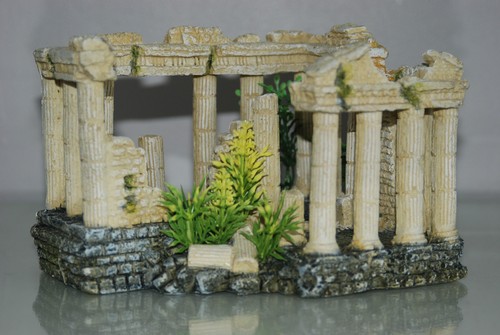 Splendido acquario romano - splendido,