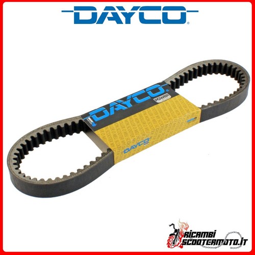 Cinghia trasmissione dayco - trasmissione,