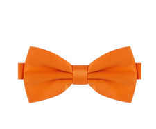 PAPILLON ARANCIONE FARFALLA