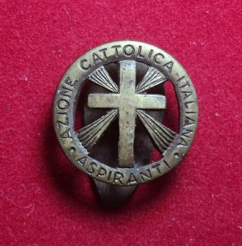 Spilla pins fregio - pins, azione