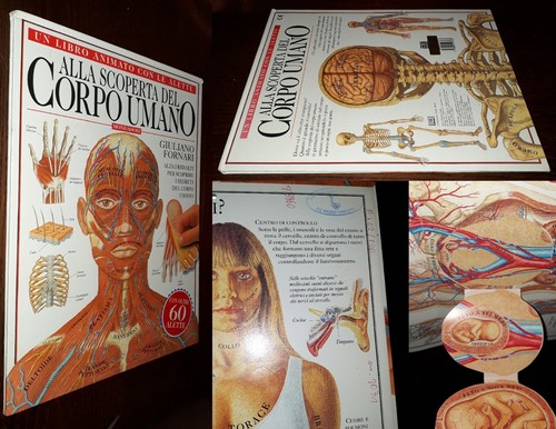 Alla scoperta del corpo - , umano