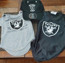 Las Vegas Raiders, NFL, abiti