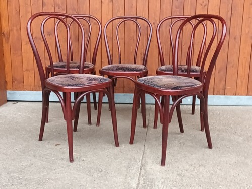 Sedia vintage lehnstuhl - vintage,