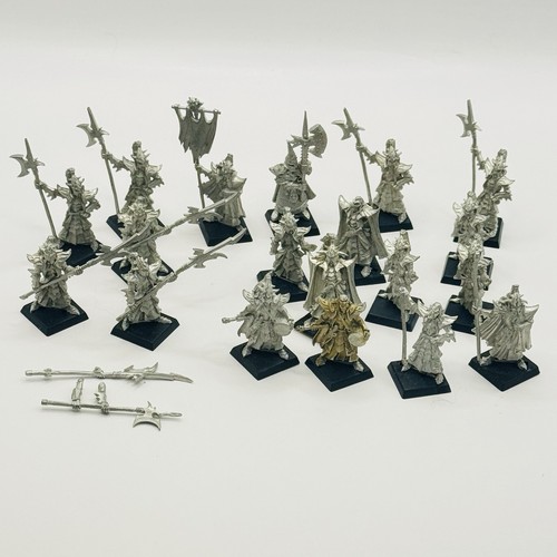 Warhammer elfo oscuro guardia - oscuro,