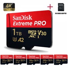 SanDisk Scheda microSDXC