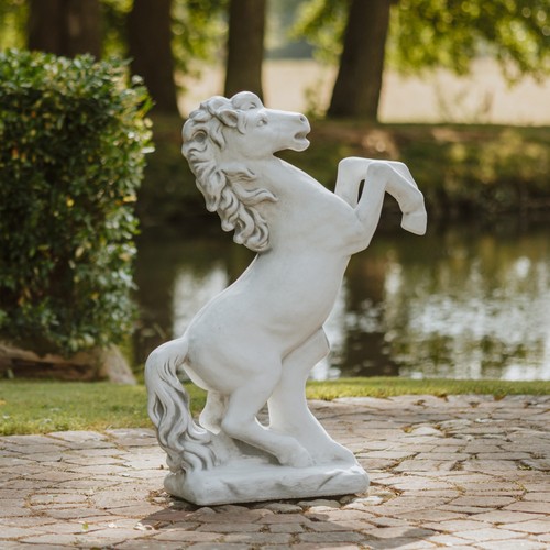 Cavallo cavalla stallone
