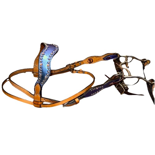 Circle browband headstall - y,