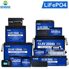 Batteria LiFePO4 12V/24V/48V 6Ah 30Ah 50Ah 100Ah 200Ah Batteria al litio BMS RV