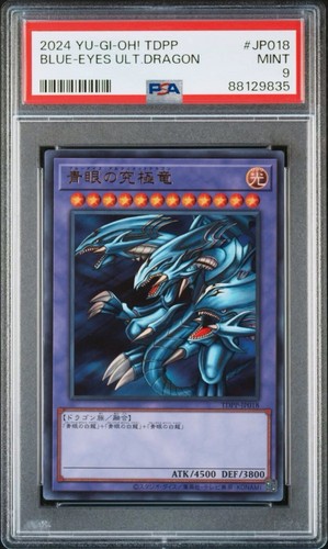 2024 tdpp blue eyes - 2024, yu-gi-oh!
