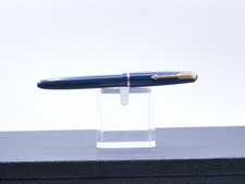 Penna stilografica Parker