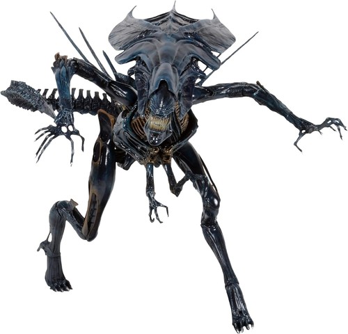 Neca aliens xenomorph alien - neca,