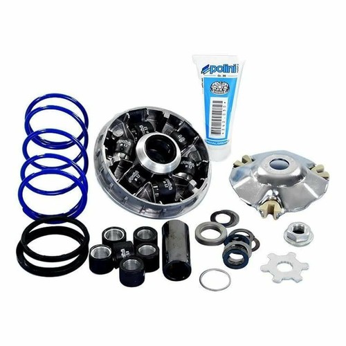 Variatore polini speed - variatore,