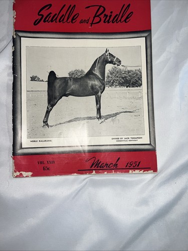 Vintage saddle bridle - vintage,