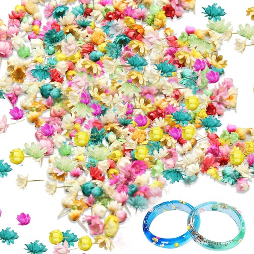 850 mini fiori - , secchi