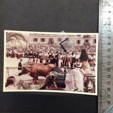 Sassari,cavalcata