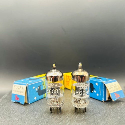 Pope ecc81 12at7 philips - 2x,