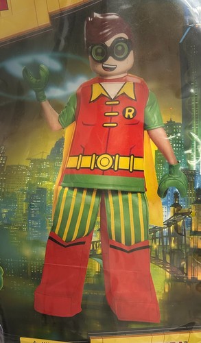 Costume robin the lego - robin,