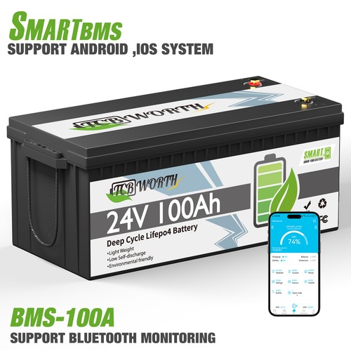 Batteria litio 24v 100ah - litio,