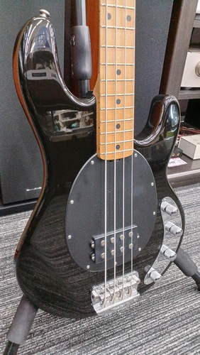 Music man stingray 4 - [music, man]